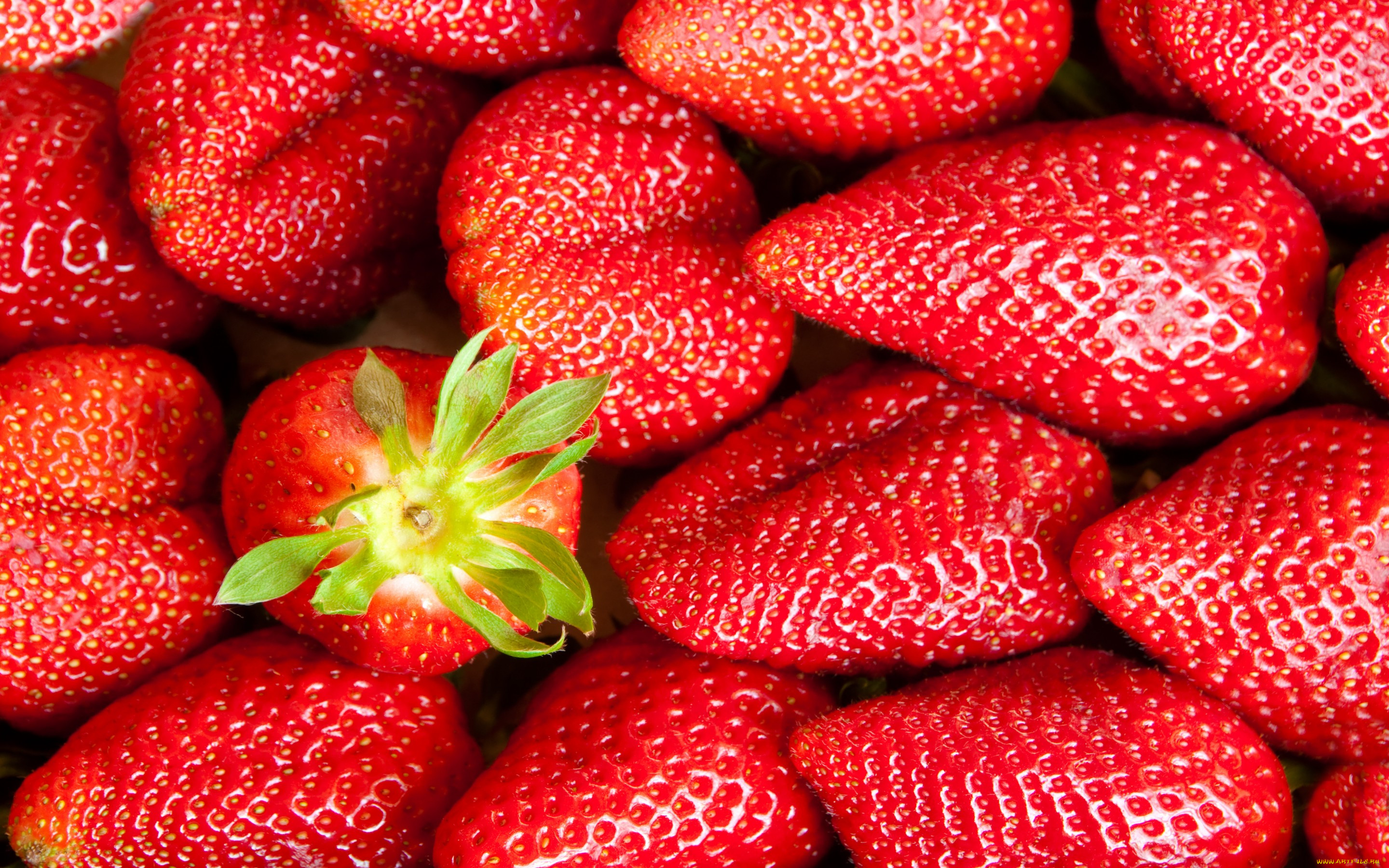 , ,  , strawberry, , berries, fresh, , , 